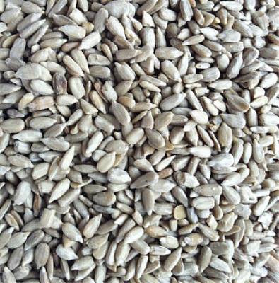 Sunflower Hearts 3kg Bag